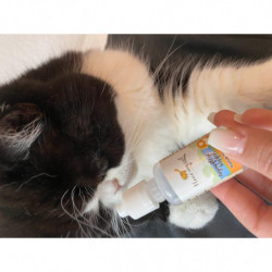 I love my cat Ohrenpflege Tropfen für Katzen I love my cat Ohrenpflege Tropfen für Katzen