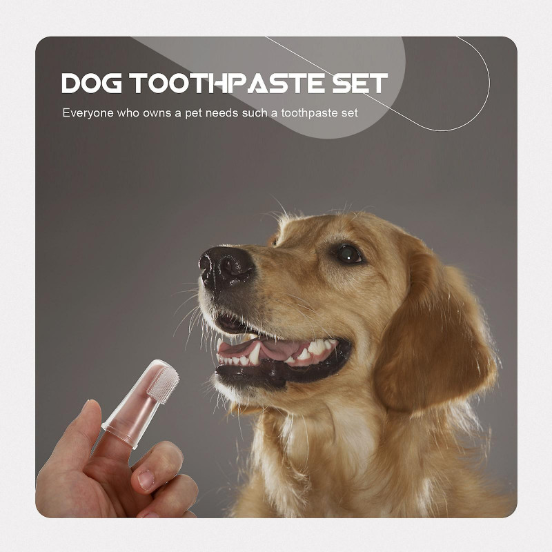 2 Sets Pet Dog Toothpaste Teeth Cleaning Toothpaste Pet Cleaner With Brush