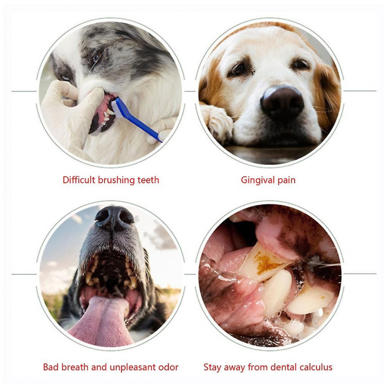 Cats Teeth Cleanser Bad Breath Plaques Tartar Reducer Dogs Dental Health Spray