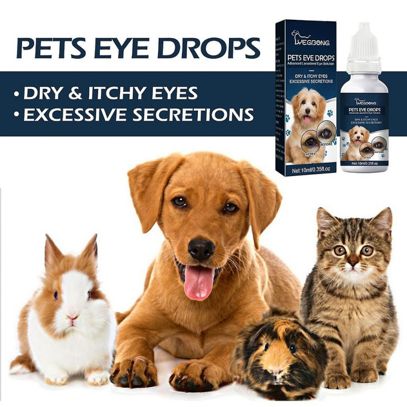 Gouttes de cataracte pour animaux de compagnie Solution Goutte lubrifiante pour les yeux pour chiens et chats