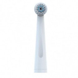 Hmj-r02 Oral Hygiene Rotary Electric Toothbrush