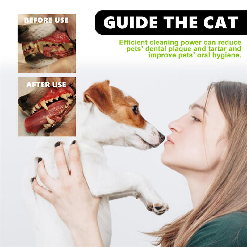 Pet Mint Flavor Fresh Breath Spray Chat Et Chien Nettoyage Buccal