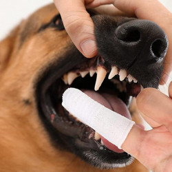 Cotton Gauze Pet Toothbrush Finger Set Dog Cat Teeth Oral Cleaning Tool