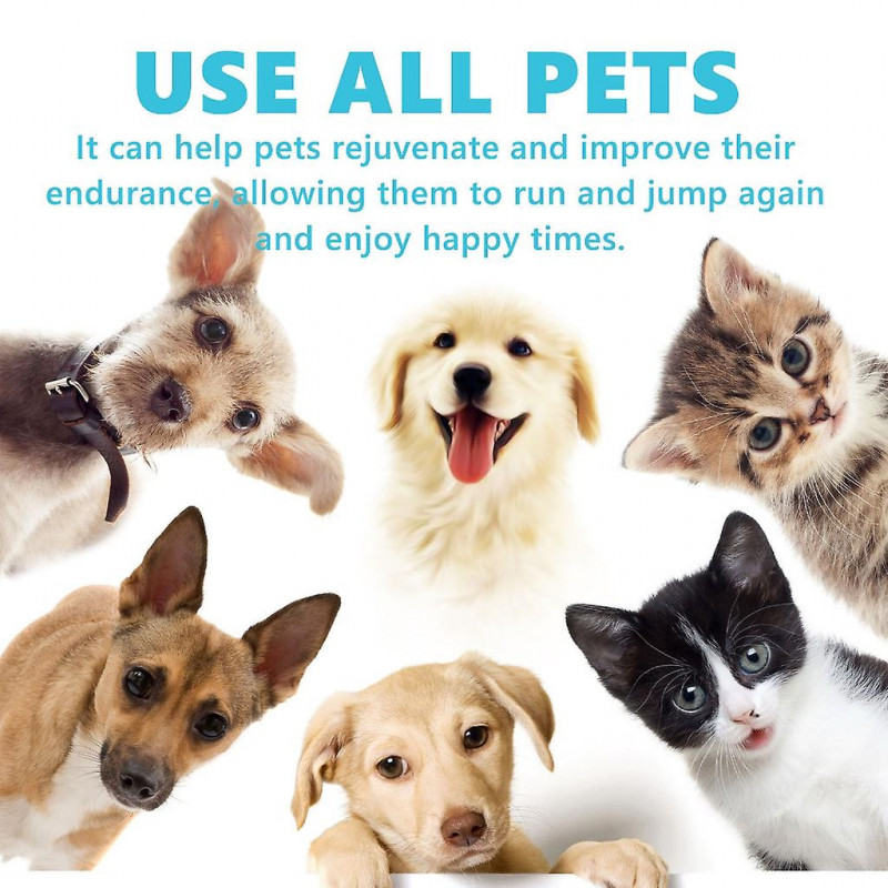 50ml Pet Joint Pains Apaisant Calmant Gouttes pour Chiens Douleurs Articulaires Réduire le Soulagement