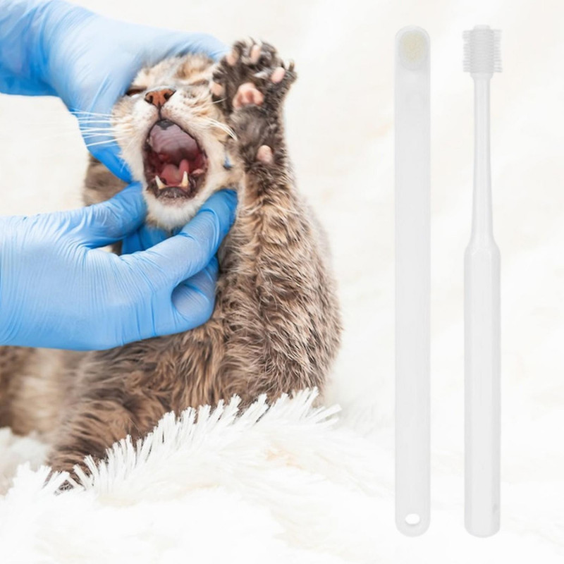 5Pcs/Set Pet Toothbrush Cat Dog Dental Care Toothbrush Soft Bristles Multi-Functional Toothbrushes