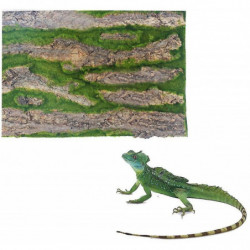 Reptile Terrarium Background,tank Tree Bark Cork Background Backdrop Wall Decor For Lizard Turtle Gecko Beared [...]