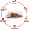 Pet Supplies Dog Chew Toys Multifunctional Dog Molar Dog Toothbrush Swimming Floating Toys-style 1
