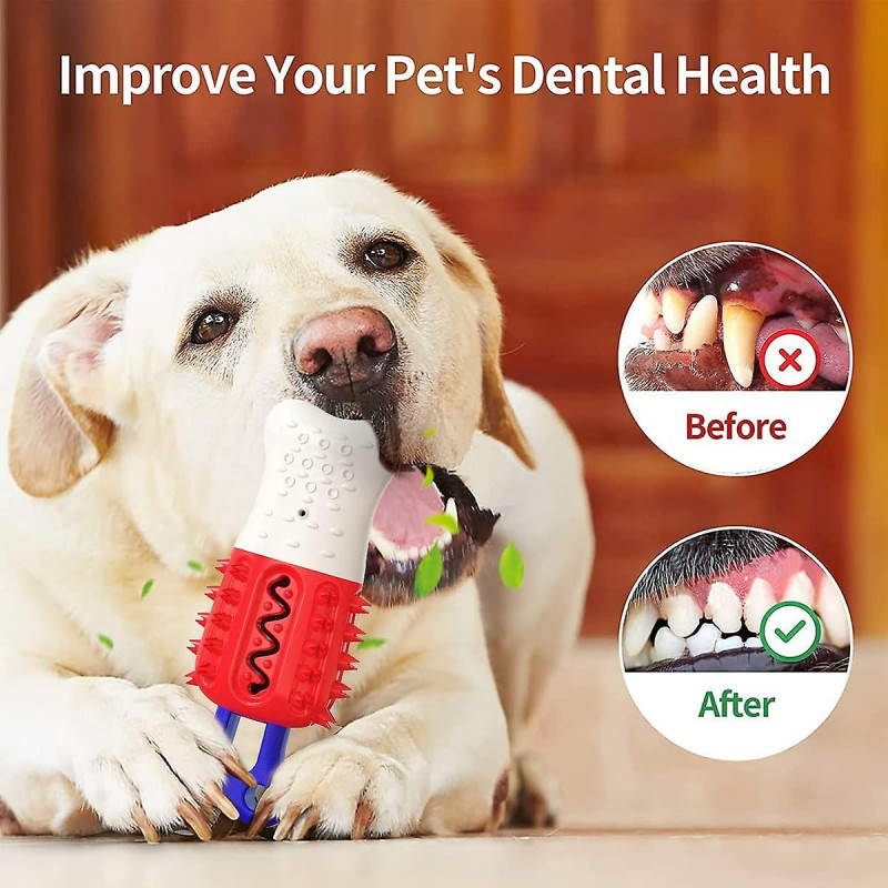 Pet Supplies Dog Chew Toys Multifunctional Dog Molar Dog Toothbrush Swimming Floating Toys-style 1