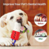 Pet Supplies Dog Chew Toys Multifunctional Dog Molar Dog Toothbrush Swimming Floating Toys-style 1