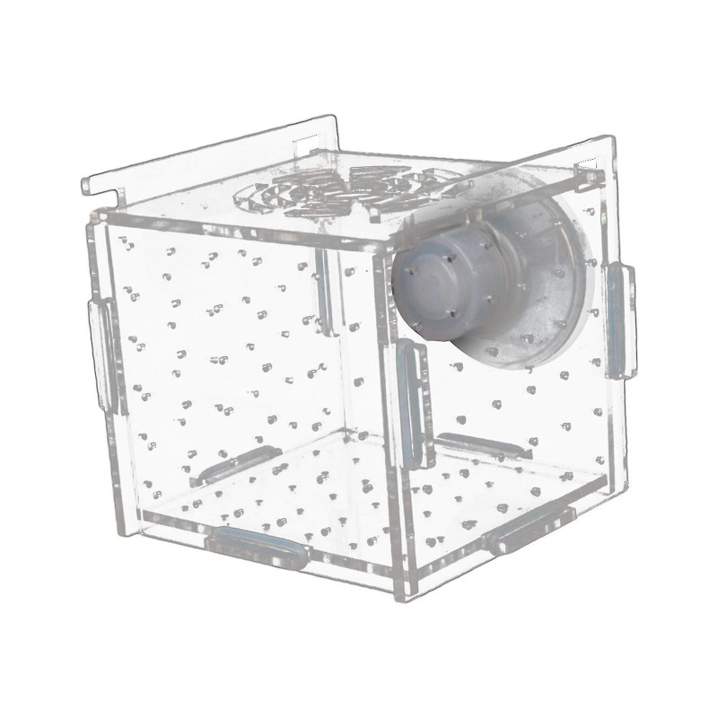 Fish Breeder Box Aquarium Accessory Transparent Fish Isolation Breeding Box Hatching Incubator Box for Aggressive Fish