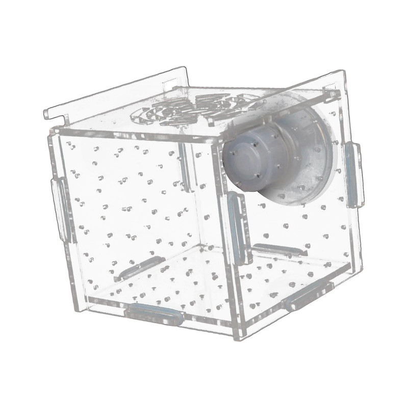 Fish Breeder Box Aquarium Accessory Transparent Fish Isolation Breeding Box Hatching Incubator Box for Aggressive Fish