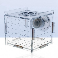 Fish Breeder Box Aquarium Accessory Transparent Fish Isolation Breeding Box Hatching Incubator Box for Aggressive Fish