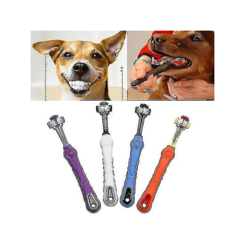 Pet Toothbrush Teddy Dog Toothbrush Addition Bad Breath Tartar Teeth Care Dog Cat Cleaning Supplies