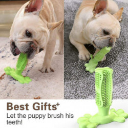 Dog Toothbrush Made Of Natural Rubber Chew Toy For Teeth Cleaning Dental Care Puppy Training