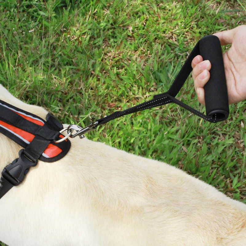 Dog Poop Bags | Dog Garbage Bag With Dispenser And Flashlight | Thick And Strong Poop Bags For Dogs, Doggie Bags [...]