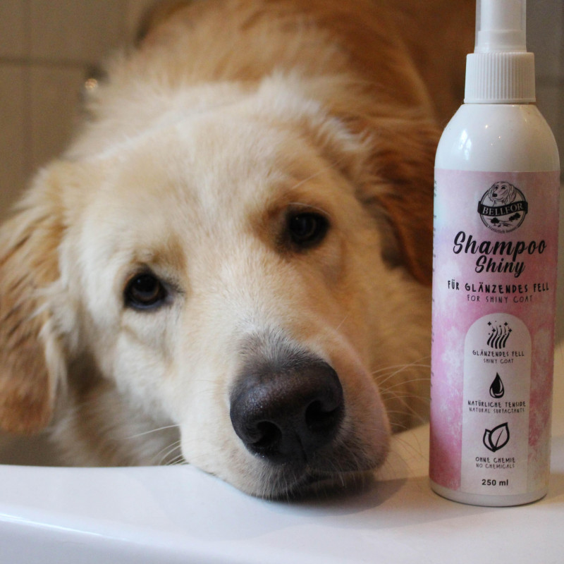 Bellfor Shiny Dog Shampoo pour pelage brillant pour chiens