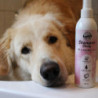 Bellfor Shiny Dog Shampoo pour pelage brillant pour chiens