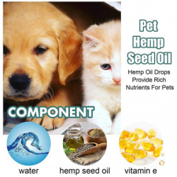 Huiles calmantes pour chiens et chats Gouttes calmantes Mélange d’anxiété calmant sûr pour le tonnerre Huiles calmantes pour chiens et chats Gouttes calmantes Mélange d’anxiété calmant sûr pour le tonnerre
