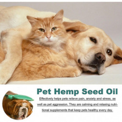 Huiles calmantes pour chiens et chats Gouttes calmantes Mélange d’anxiété calmant sûr pour le tonnerre Huiles calmantes pour chiens et chats Gouttes calmantes Mélange d’anxiété calmant sûr pour le tonnerre