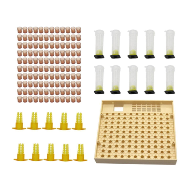 Queen Rearing Box System Kit For Bee Breeding Beekeeping Cage Cell Cup Tools