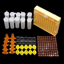 Queen Rearing Box System Kit For Bee Breeding Beekeeping Cage Cell Cup Tools