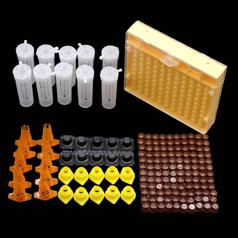 Queen Rearing Box System Kit For Bee Breeding Beekeeping Cage Cell Cup Tools