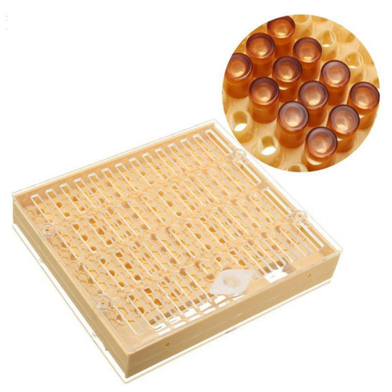 Queen Rearing Box System Kit For Bee Breeding Beekeeping Cage Cell Cup Tools