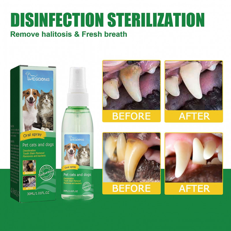 30ml Pet Oral Spray Safe Ingredients Food Grade Non-irritating Dental Care Harmless Prevent Tooth Decay Reliable [...]