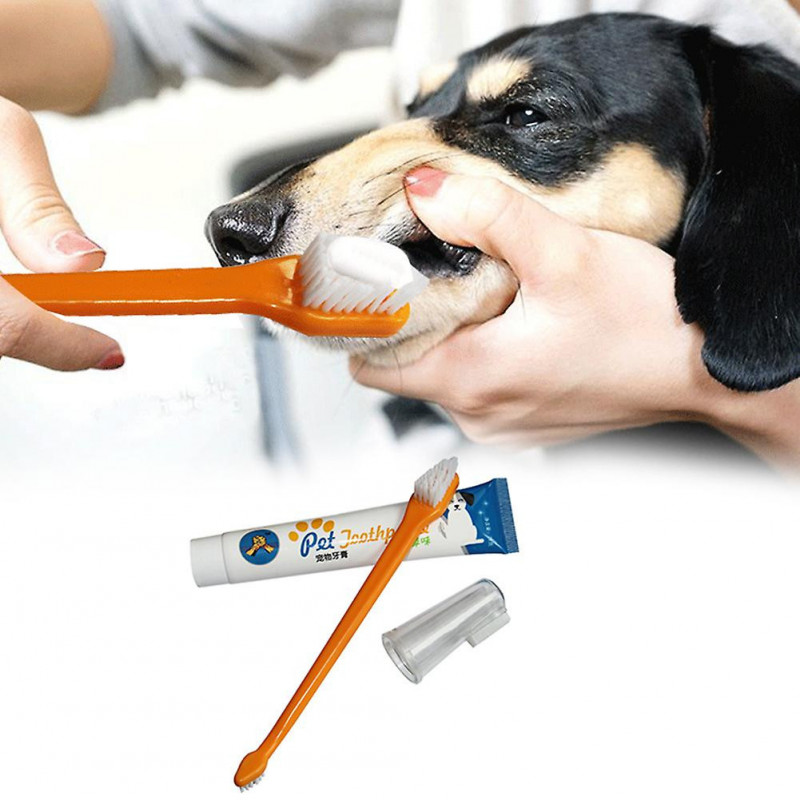 QingHai Dog Toothpaste Fingerbrush Safe Dental Care Pet Dog Fingerbrush Toothbrush for Dog
