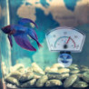 4 Pcs Digital Temperature Gauge Fish Tank Water Aquarium Temperature Meter Aquarium Plastic Aquarium Water [...]