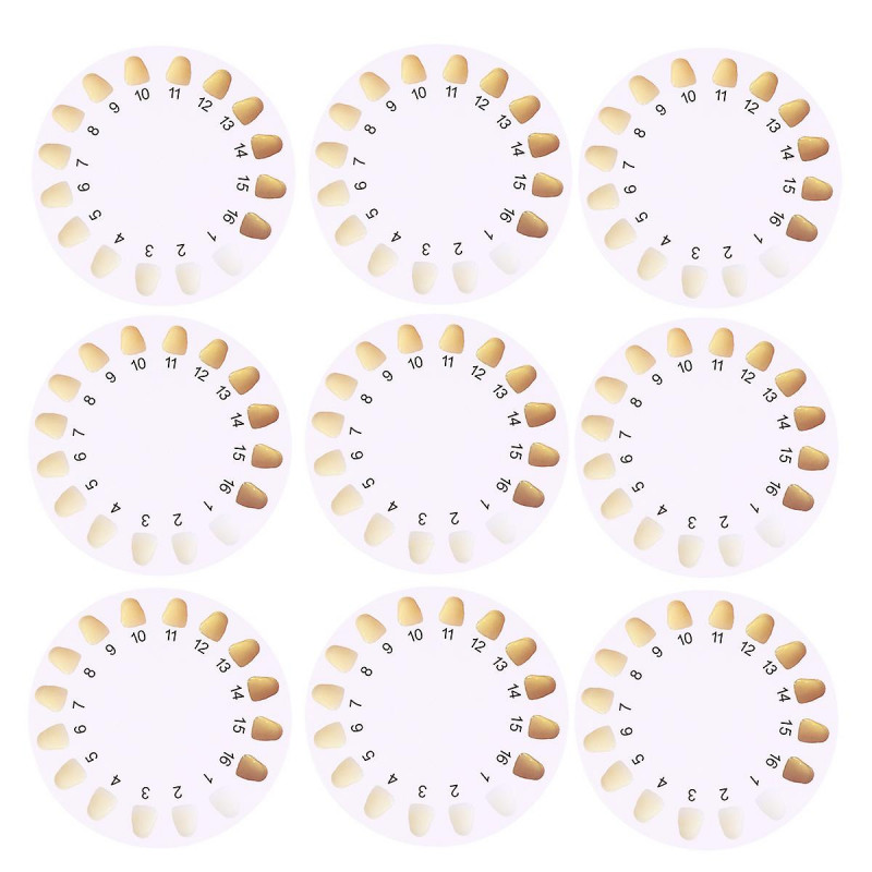 20 PCS Nursing Toos Nursing Supplies Oral Care Supply Tooth Bleaching Shade Guide Color Wheel