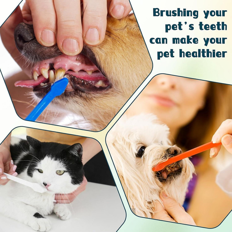 Kit de brossage des dents de chien de 10 pièces, brosse à dents pour animaux de compagnie à double tête, brosse à [...]