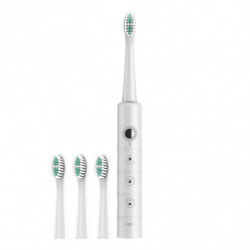 Electric Toothbrush Home Couple Adult Model Electric Toothbrush Flye1843