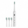 Electric Toothbrush Home Couple Adult Model Electric Toothbrush Flye1843