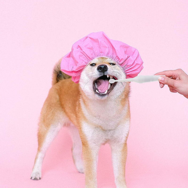 Ultrasound Toothbrush For Dogs-professional Electric Dog Tooth Brush For Small Medium Large Dogs And Cats(2pc [...]