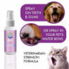 Dog Oral Deodorant Spray Gum Disease Mouth Freshener Pet Dental Spray Antibacterial Cats Dogs