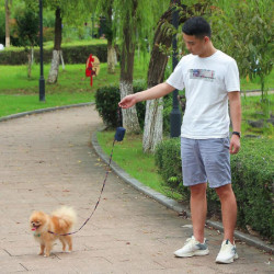 The Dog Bags, Bag Dispensers For Dogs, Dog Pocket Bag With Leash Attachment Buckle, Universal Dog Bag Dispenser [...]