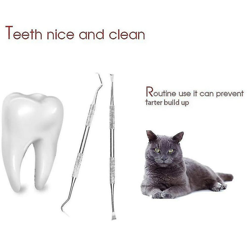 5 Pcs Set Tartar Remover Dog Tartar Remover For Dogs And Cats