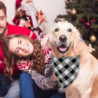 2 Pcs Dog Bandana Christmas Classic Plaid Pet Bandana Scarf