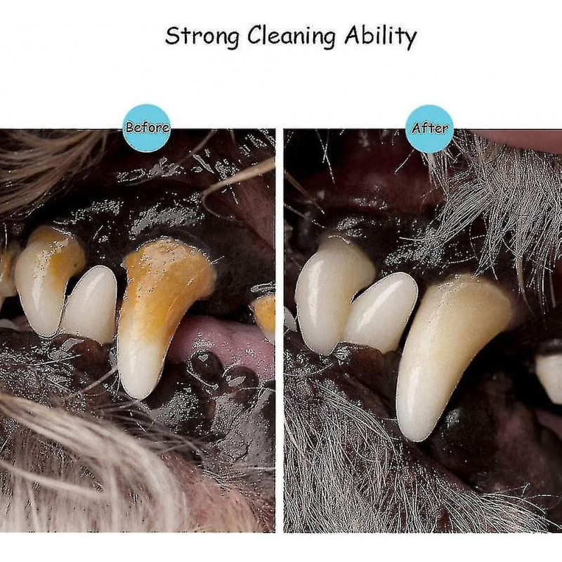 Kit de nettoyage des dents pour animaux de compagnie, détenteur de dents de chat pour chien, brosse à dents de [...]