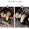Kit de nettoyage des dents pour animaux de compagnie, détenteur de dents de chat pour chien, brosse à dents de [...]