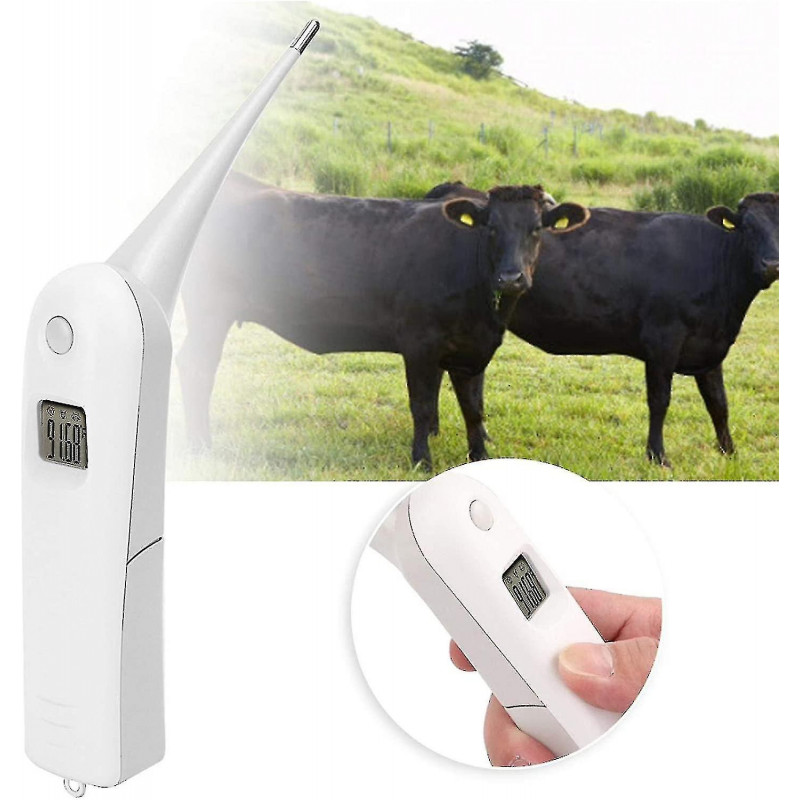 Professional Pet Veterinary Thermometer,digital Veterinary Thermometer