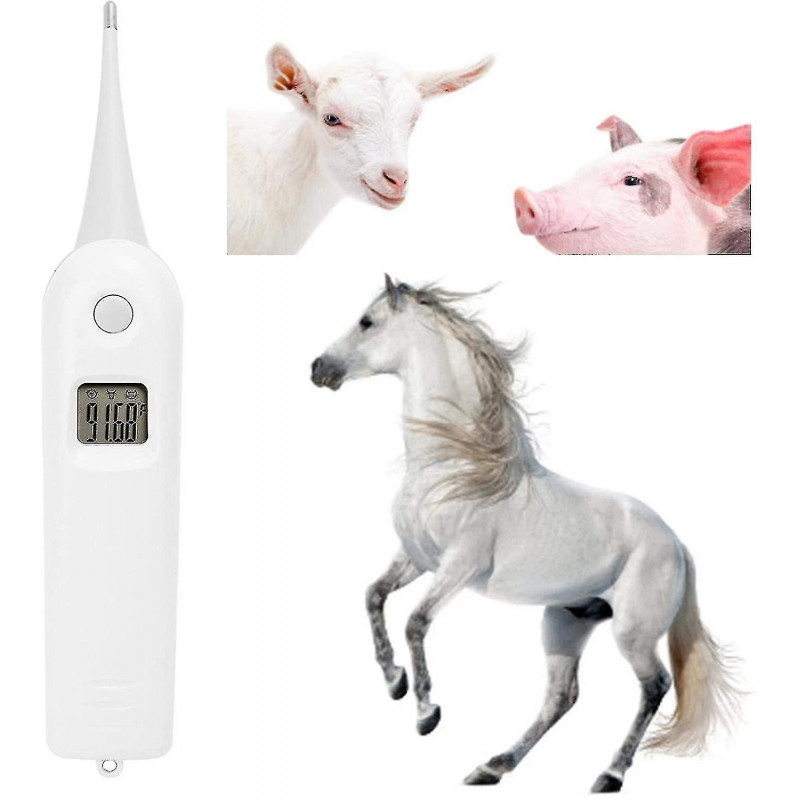 Professional Pet Veterinary Thermometer,digital Veterinary Thermometer