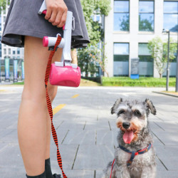 Pet Litter Shovel 2 In 1 Design Dung Cleaning Portable Handle Jaw Pooper Scooper For Outdoor Qinhai