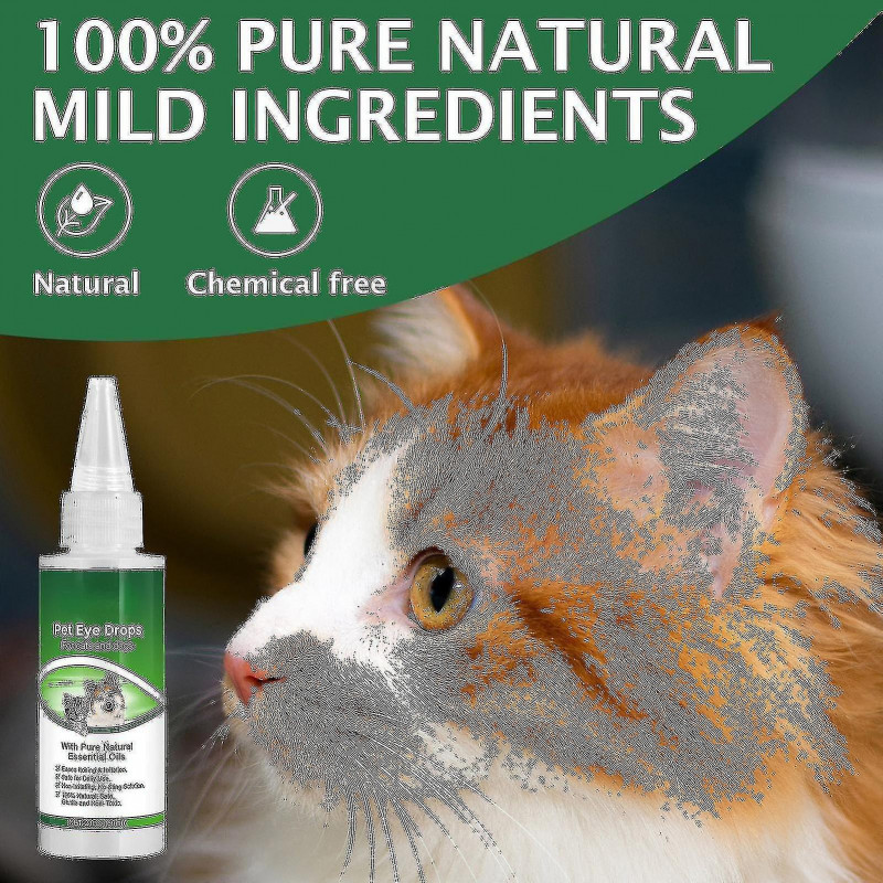 Gouttes ophtalmiques de conjonctivite de chat de chien, gonflement rouge lacrymal anti-inflammatoire bactéricide [...]