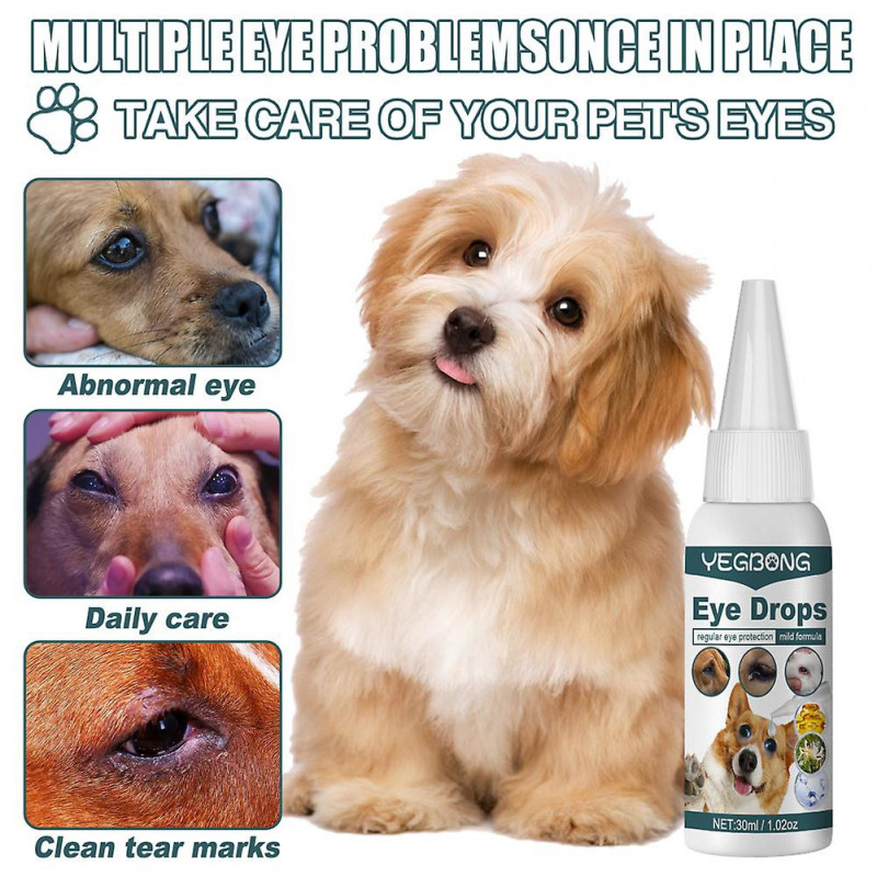 Gouttes oculaires pour animaux de compagnie pour chats, chiens, maison, chien, douche oculaire, tache de larmes, [...]