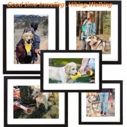 Ubiuo Portable-travel Pet-dog Accessories-dispenser Lightweight - 4 In1 Leakproof Dog Water Bottle Dispenser With [...]