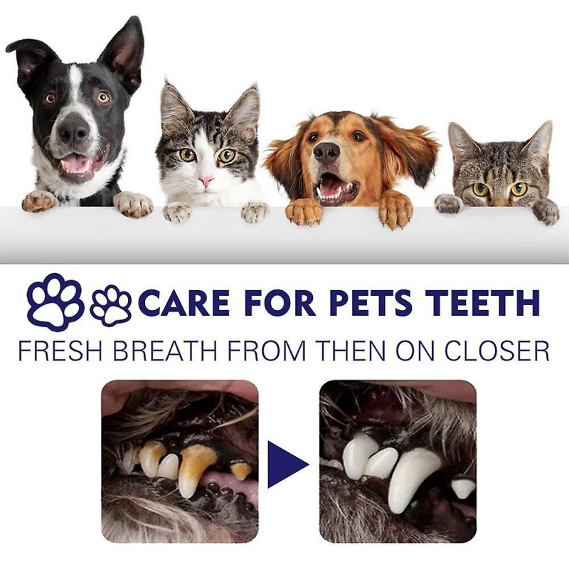 Pet Toothpaste Pets Oral Cleaning Cream Cats Mouth Cleaner Dogs Oral Care Products Dog Accessories Cat Accessories [...]