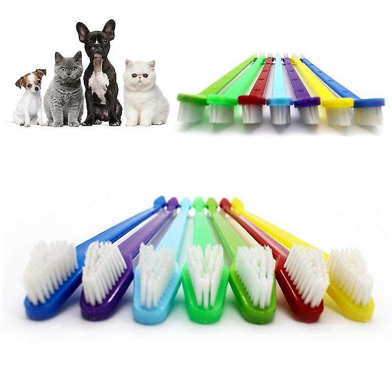 Brosses à dents pour chiens Dents de chat de compagnie Beauté chiot Brosse à dents Tartre Au-delà de la mauvaise [...]