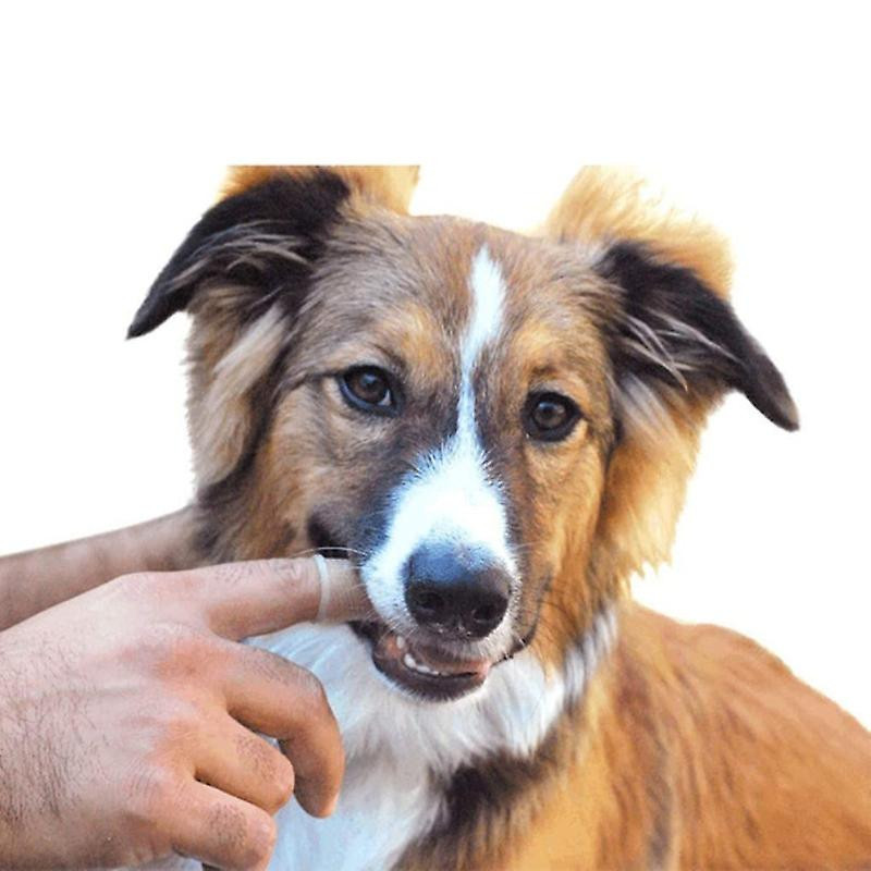 Super Soft Dog Toothbrush Pet Silicone Finger Toothbrush Cleaning Bad Breath Care Pet Dog Cat Cleaning Supplies [...]